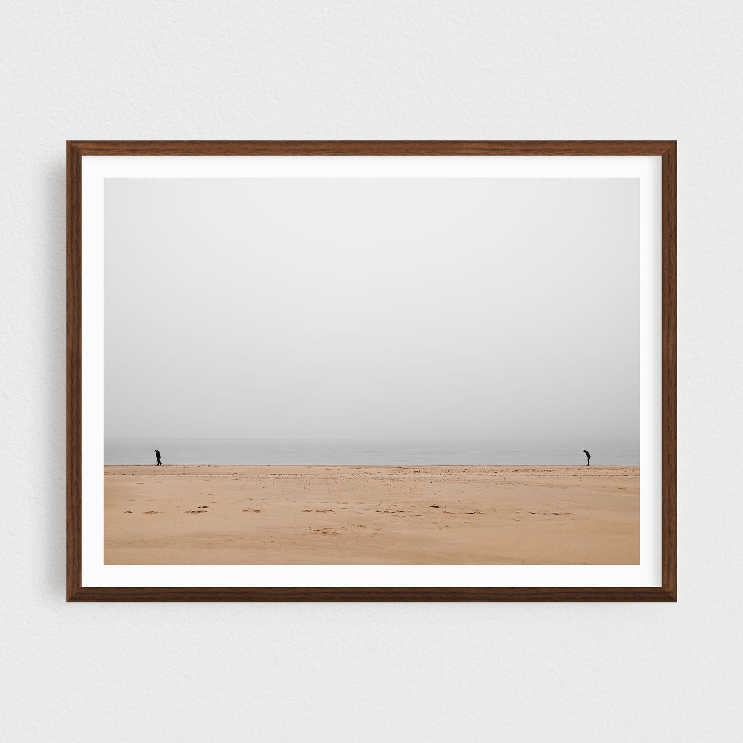 Somewhere by the Sea: The Walkers