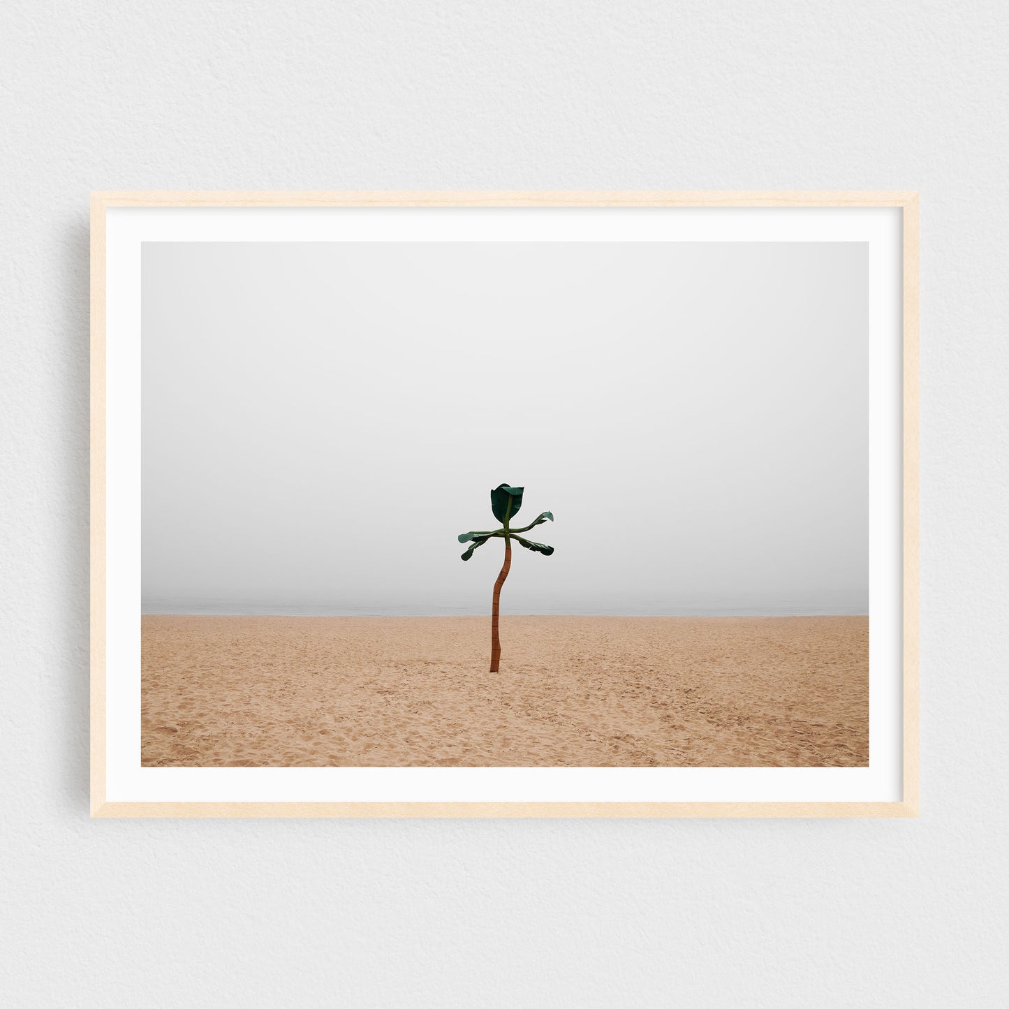 Minimalist Fine Art Photography Print - Beach in the Fog