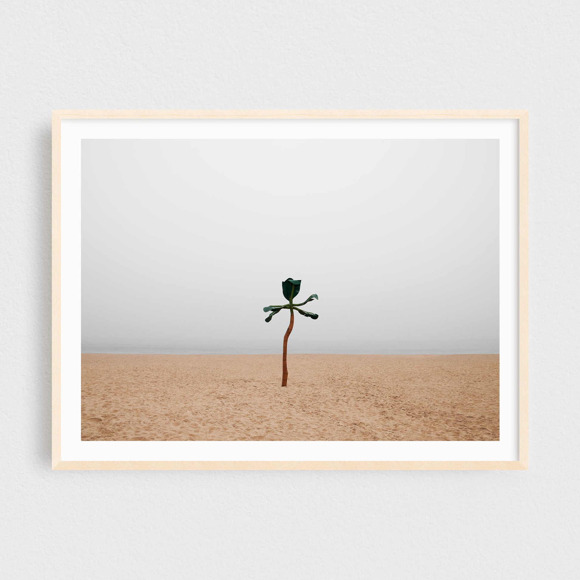 Minimalist Fine Art Photography Print - Beach in the Fog