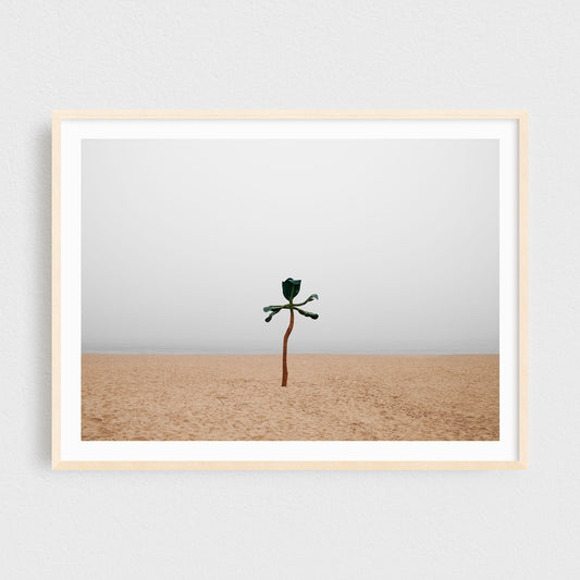 Minimalist Fine Art Photography Print - Beach in the Fog