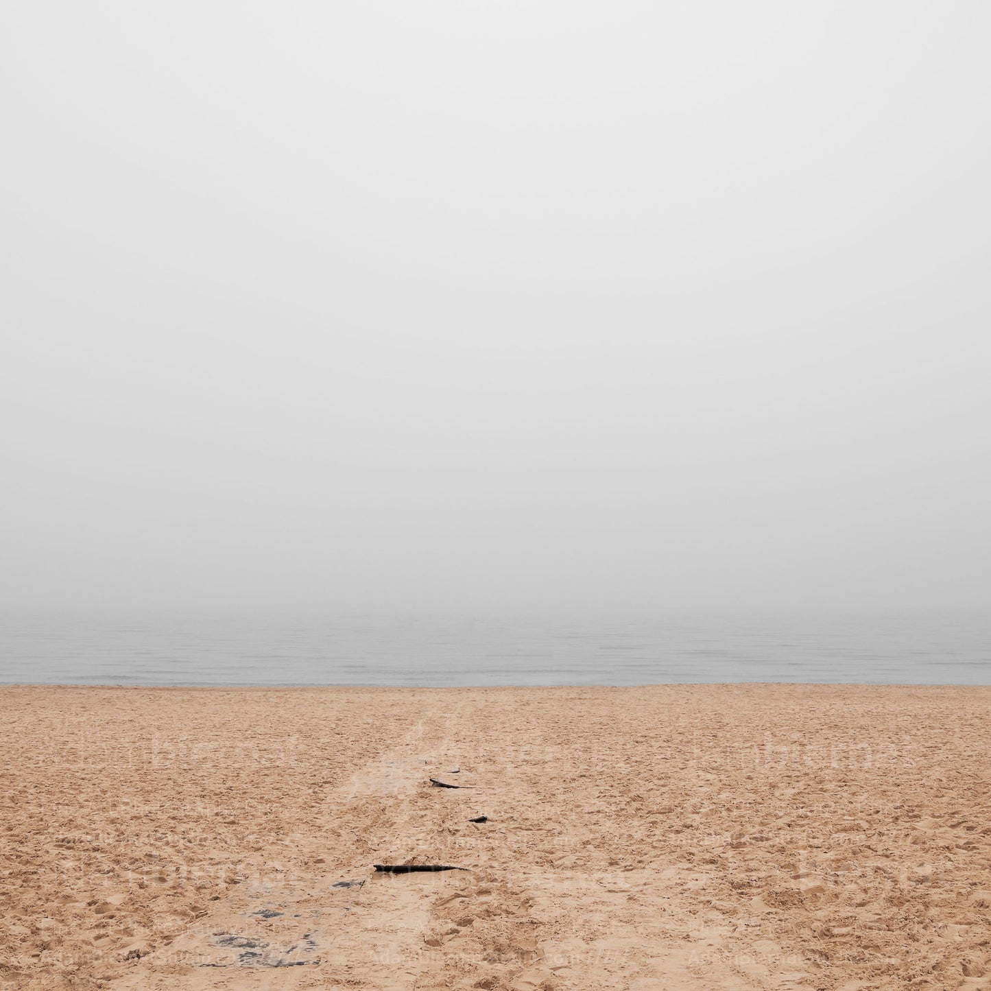 Contemporary minimalist landscape photography print featuring a beach in the fog