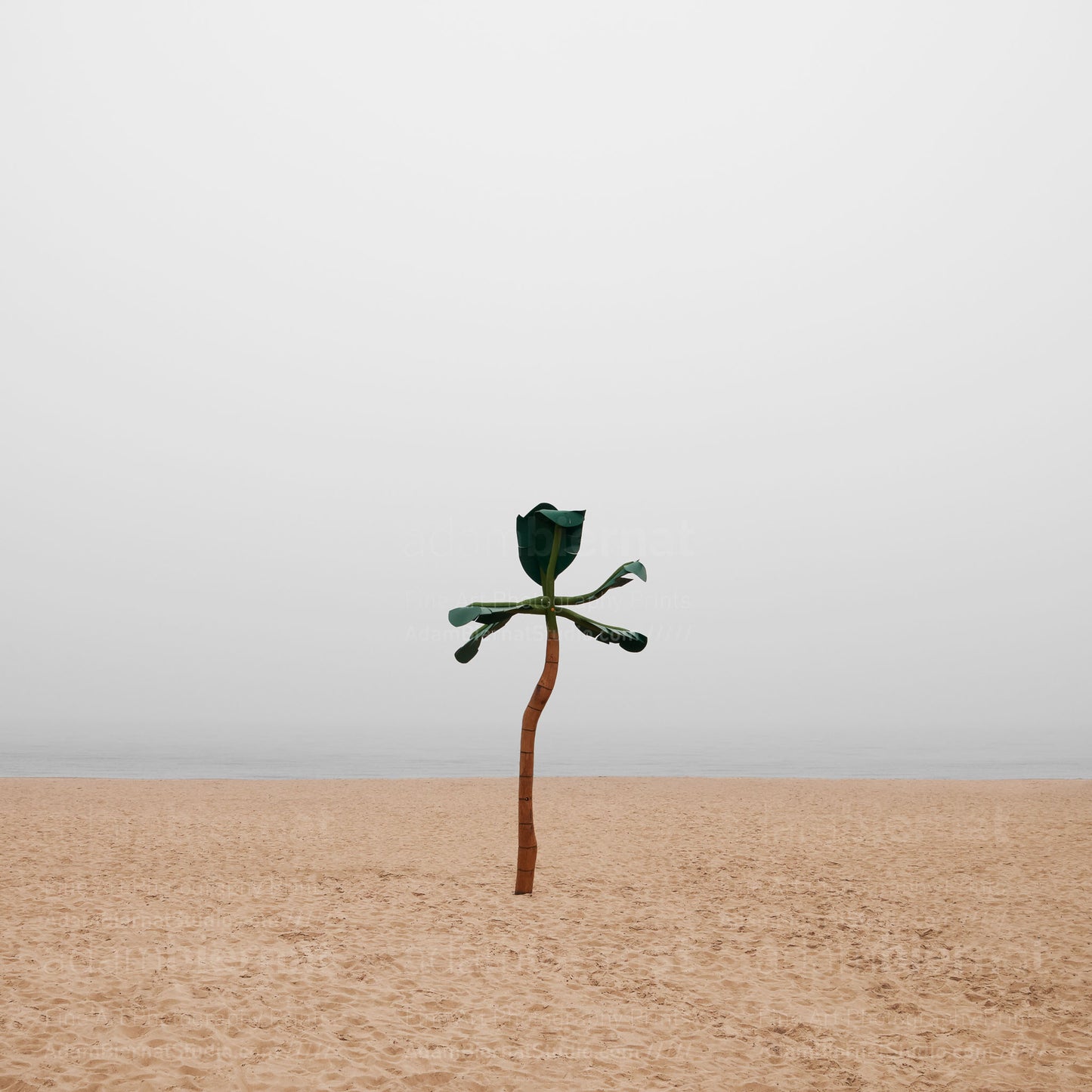 Contemporary minimalist landscape photography print featuring a beach in the fog
