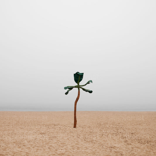 Contemporary minimalist landscape photography print featuring a beach in the fog