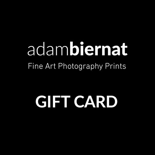Adam Biernat Studio Gift Card