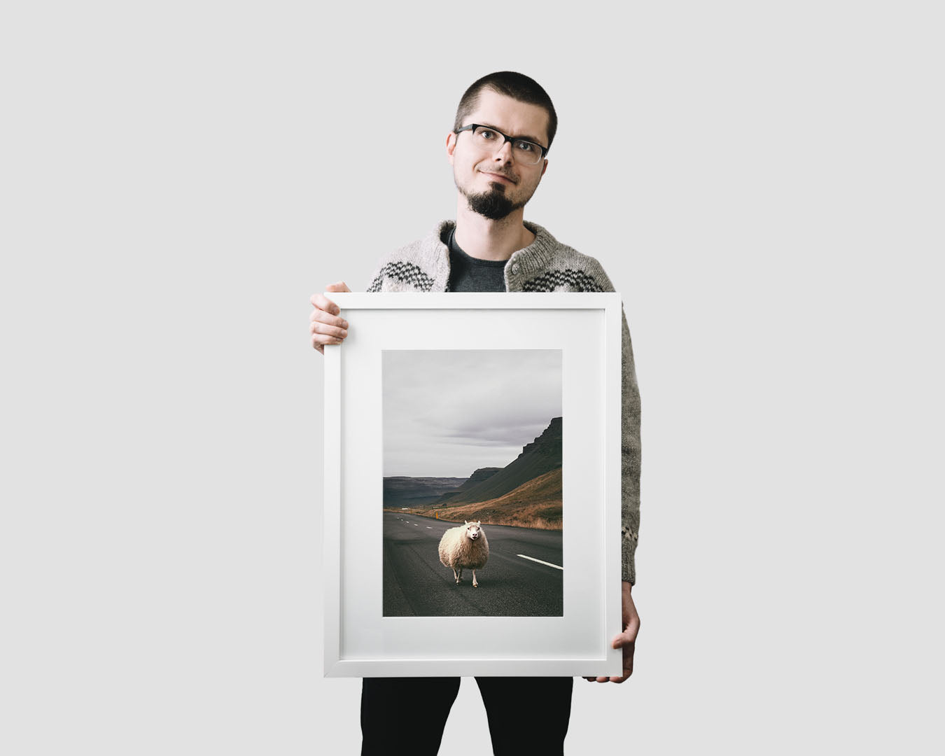 Nordic travel photography print featuring an Icelandic sheep on the road