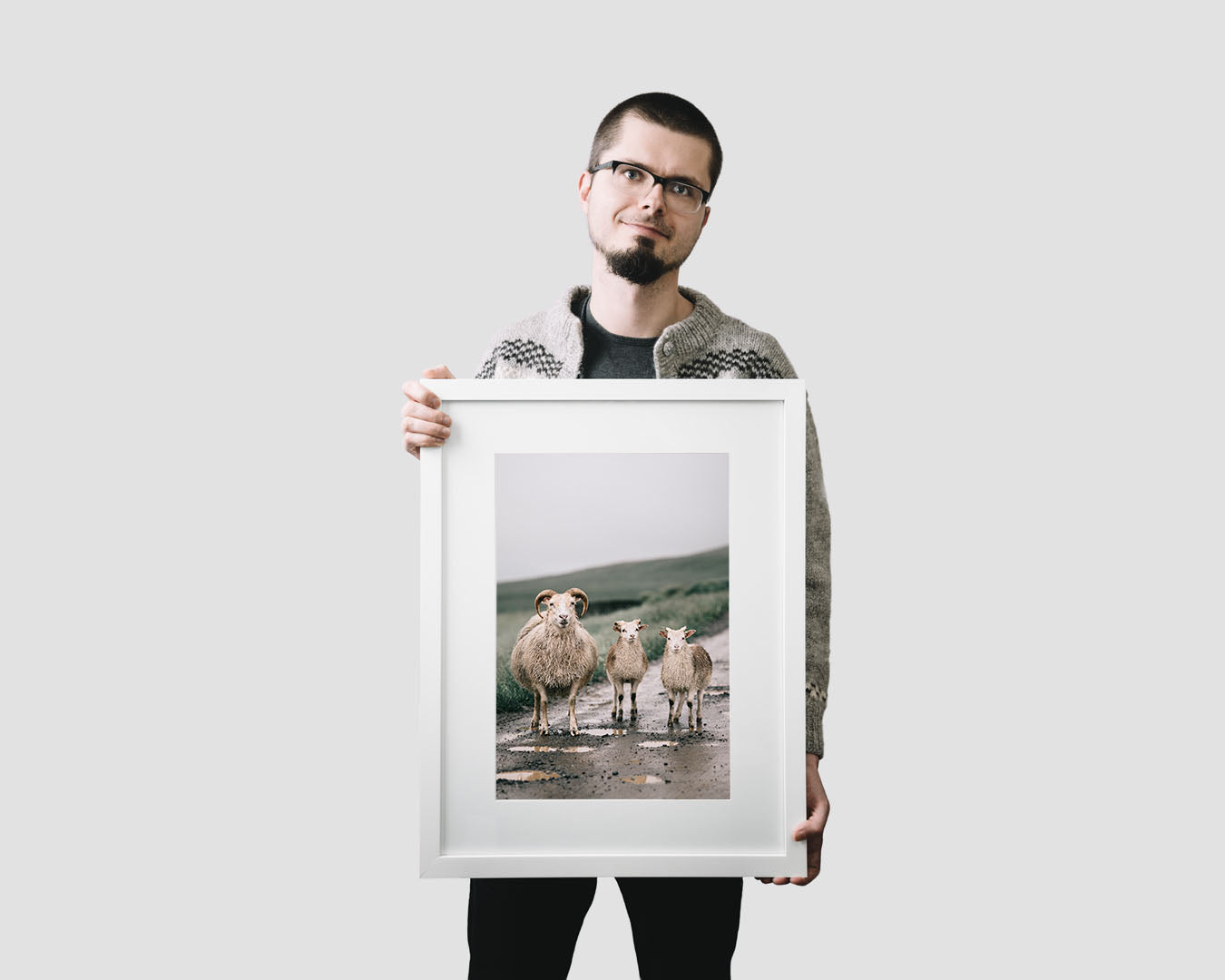 Nordic travel photography print featuring Icelandic sheep