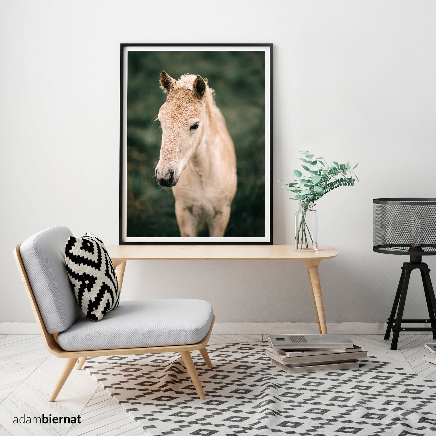 Modern Farmhouse Home Decor - Icelandic Horse Photography Print