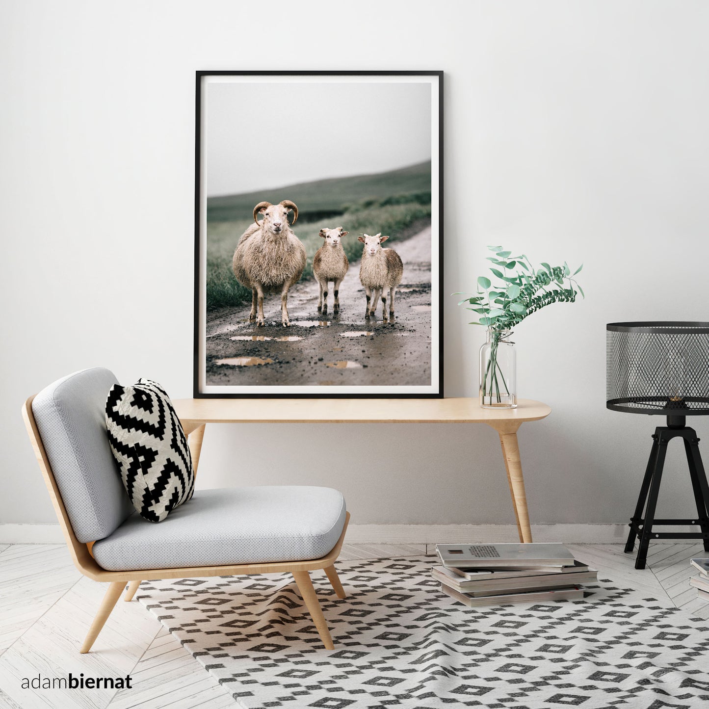 Modern Farmhouse Wall Art - Sheep Art Print