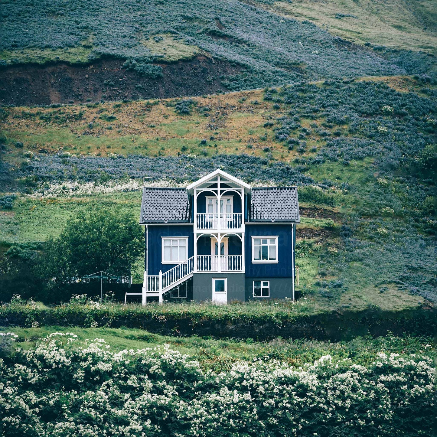 Old Nordic house in Siglufjordur - Iceland photography print